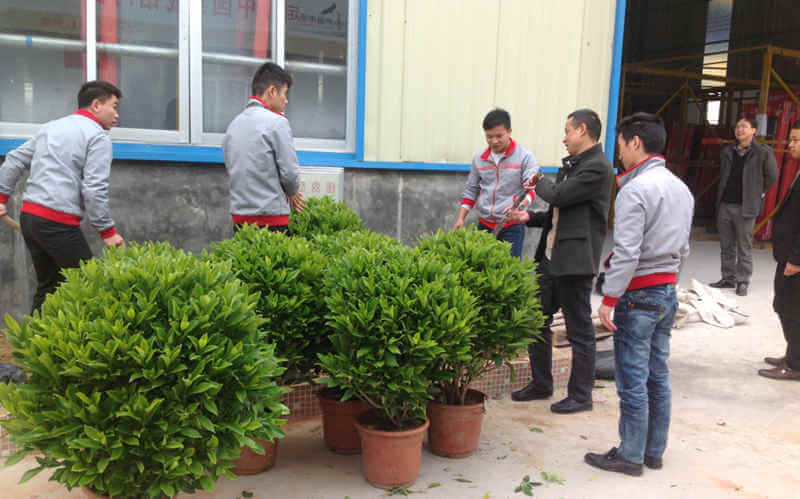 植樹活動