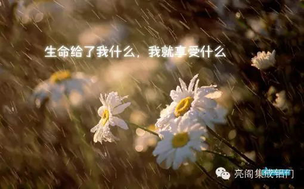 亮閣門(mén)窗,生命給了我什么,我就享受什么