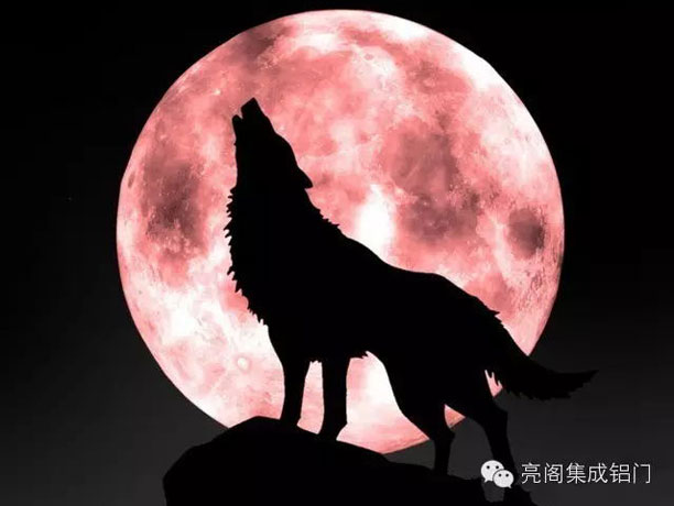 鋁門窗十大品牌,鋁合金門窗十大品牌--狼